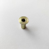 供應(yīng)剎車片鉚釘 STR豪沃空心鍍銅鉚釘 制動器鉚釘螺絲 10*22鍍鋅鉚釘(一包100顆)