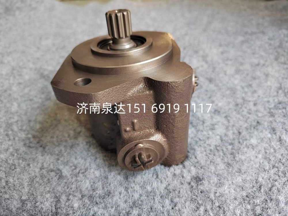 1001159146,转向助力泵,济南泉达汽配有限公司