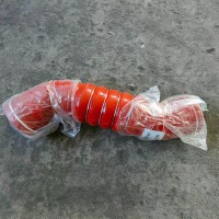 FG9804531315  中冷器出气胶管