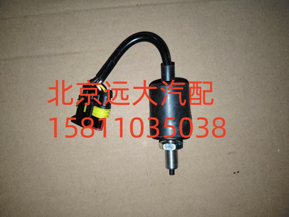 H4373040016A0,踏板行程开关总成,北京远大汽车配件有限公司