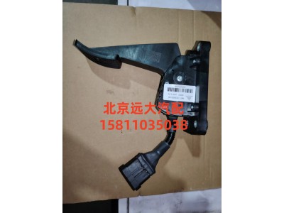 H4117030001A0,油门踏板总成(电子),北京远大汽车配件有限公司
