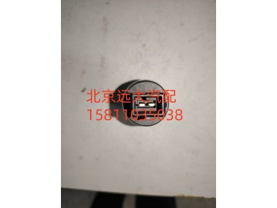 H411900000613,空滤器堵塞报警灯开关,北京远大汽车配件有限公司