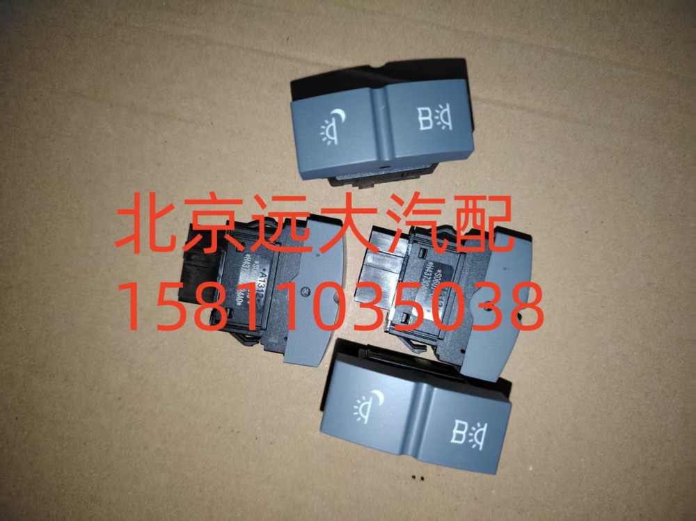 H4373040024A0,夜灯开关驾驶员侧阅读灯开关,北京远大汽车配件有限公司