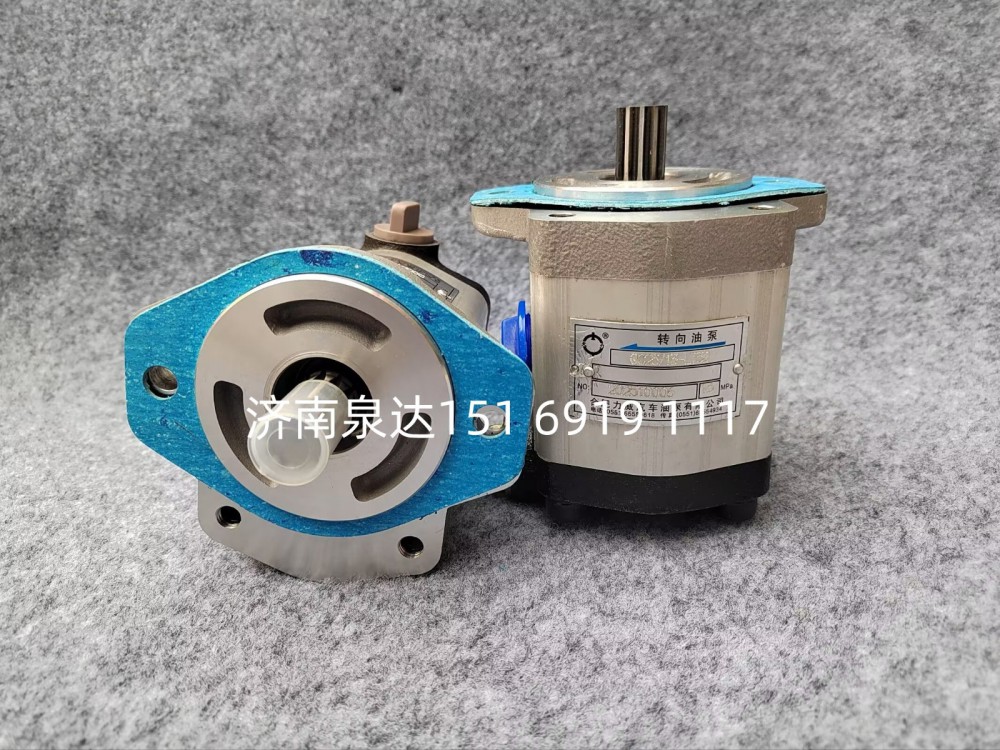 QC25/13-LT50转向齿轮油泵助力泵液压泵齿轮油泵/QC25/13-LT50
