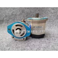QC25/13-LT50转向齿轮油泵助力泵液压泵齿轮油泵