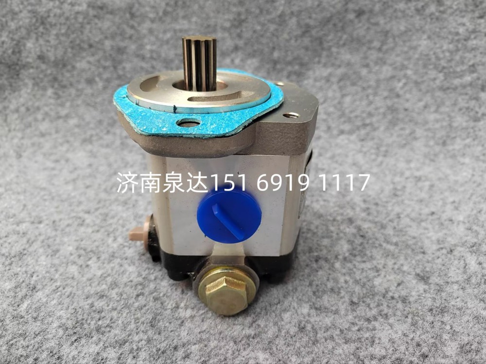 QC25/13-LT50转向齿轮油泵助力泵液压泵齿轮油泵/QC25/13-LT50