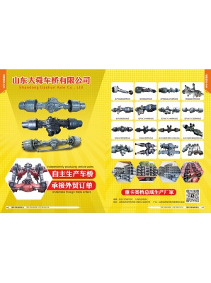 山东大舜车桥有限公司