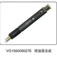 噴油器總成VG1560080276