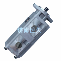 QC25+25-15-KMS康明斯合肥力威【專營：動力轉(zhuǎn)向器、轉(zhuǎn)向泵】