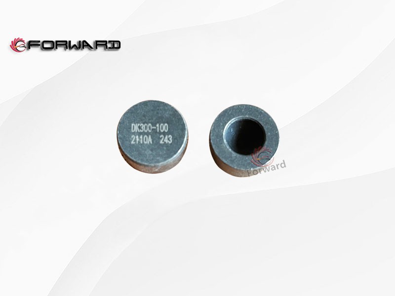 DK300-1002110A 主油道密封塞,Main oil passage seal plug,济南向前汽车配件有限公司