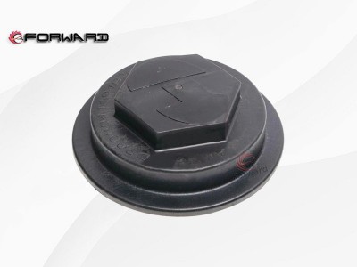 HD90009411949  轮毂帽,wheel hub cap,济南向前汽车配件有限公司