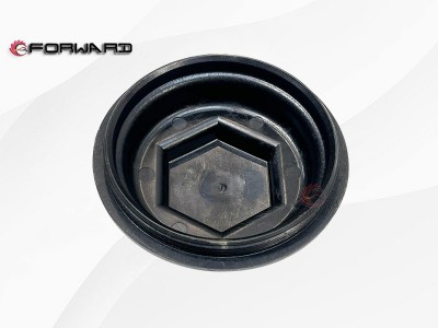 HD90009411949  轮毂帽,wheel hub cap,济南向前汽车配件有限公司