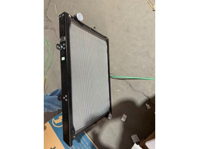 DZ95259532231   散热器水箱