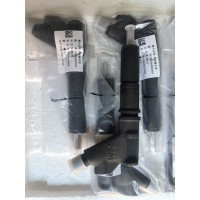 D12发动机喷油器总成，VG1246080036，255元