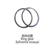 各種齒圈Ring gear