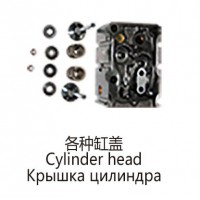 各種缸蓋Cylinder head