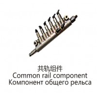 共軌組件Common rail component
