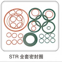 STR 全套密封圈