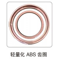 輕量化 ABS 齒圈