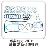 濰柴動力 WP12 國 Ⅲ 發(fā)動機修理包
