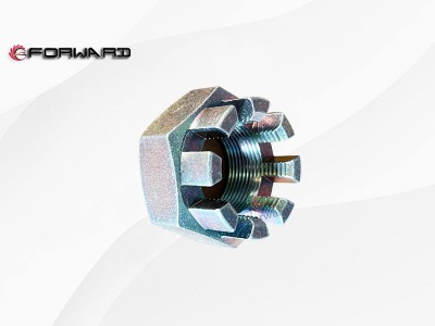 SPCS0000000504  开槽螺母,Slotted nut,济南向前汽车配件有限公司