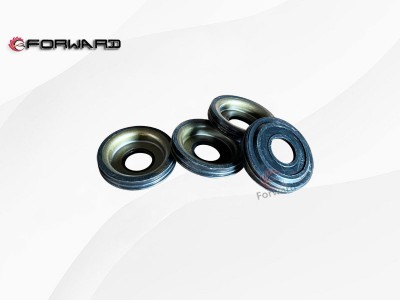 3066-3501030  主销堵盖总成,Main pin plug cover assembly,济南向前汽车配件有限公司