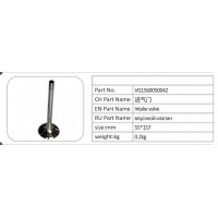 VG1560050042 進氣門