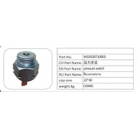WG9100710003 壓力開關