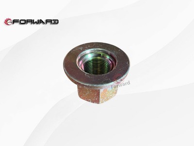 FG4003002401+032 车轮螺母Q30020,Wheel nut,济南向前汽车配件有限公司