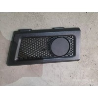 28WLAM111-03034左侧格栅