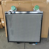 812W06100-0002   冷卻模塊總成