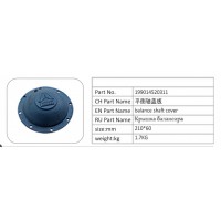199014520311 平衡軸蓋板