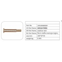 199100680069 前穩(wěn)定桿螺栓