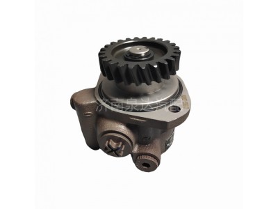 FG9816476900,转向泵,济南泉达汽配有限公司