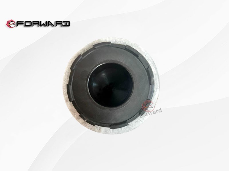 SHACMAN WEICHAI WP15 动力燃气发动机系统 1006101168  燃气滤清器滤芯/1006101168  燃气滤清器滤芯