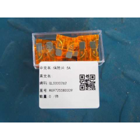 保险片 5A WG9725580009