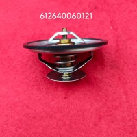 612640060121节温器