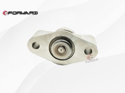 610800220083  DPM喷嘴,DPM Nozzle,济南向前汽车配件有限公司