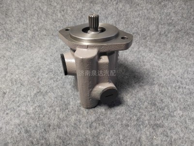 DZ98189470101,转向助力泵,济南泉达汽配有限公司