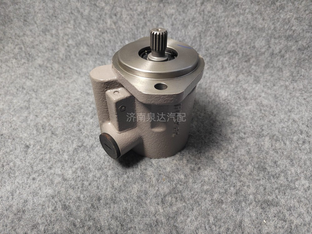 DZ98189470101,转向助力泵,济南泉达汽配有限公司