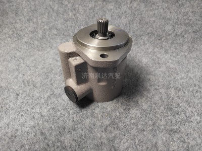 DZ98189470101,转向助力泵,济南泉达汽配有限公司