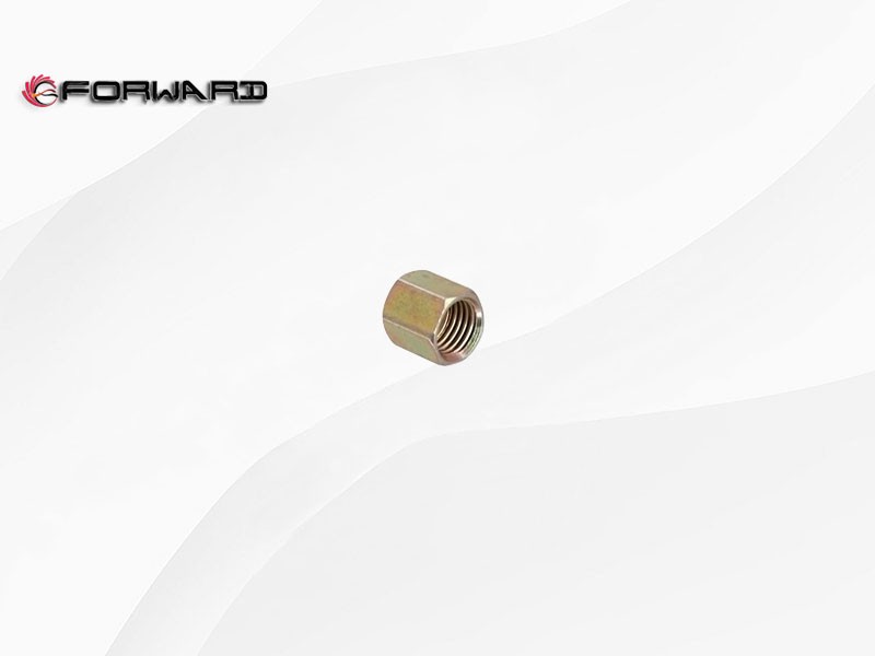 190003559516 联管螺母-L43 Ф6,Nut,济南向前汽车配件有限公司