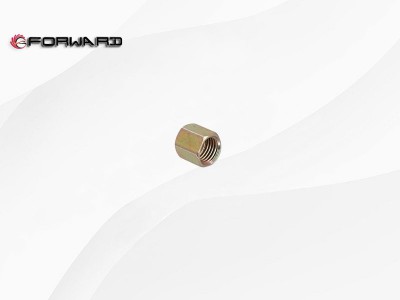 190003559516 联管螺母-L43 Ф6,Nut,济南向前汽车配件有限公司
