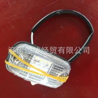 NXG41TFW871-31010   示廓灯总成