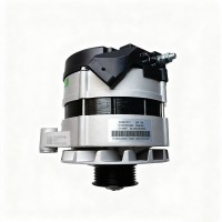 重汽WD615斯太尔豪沃金王子起动机28V/70A交流发电机VG1095094002