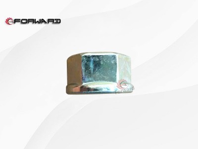 SZ952000867  骑马螺栓螺母,Horse-hitch bolts and nuts,济南向前汽车配件有限公司