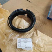 VG1560030050活塞环