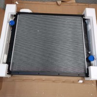 WG9719530276散热器 优质