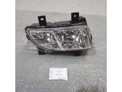 WG9719720026右雾灯