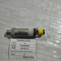 VG1242088005溢油閥總成